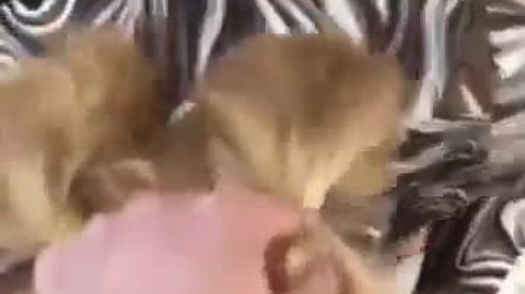 Maaşı yetmiyormuş sakso teklifi ettim kabul etti